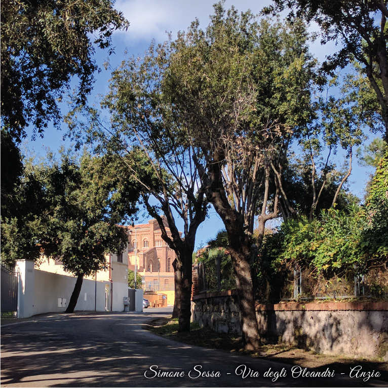 Anzio Via degli Oleandri