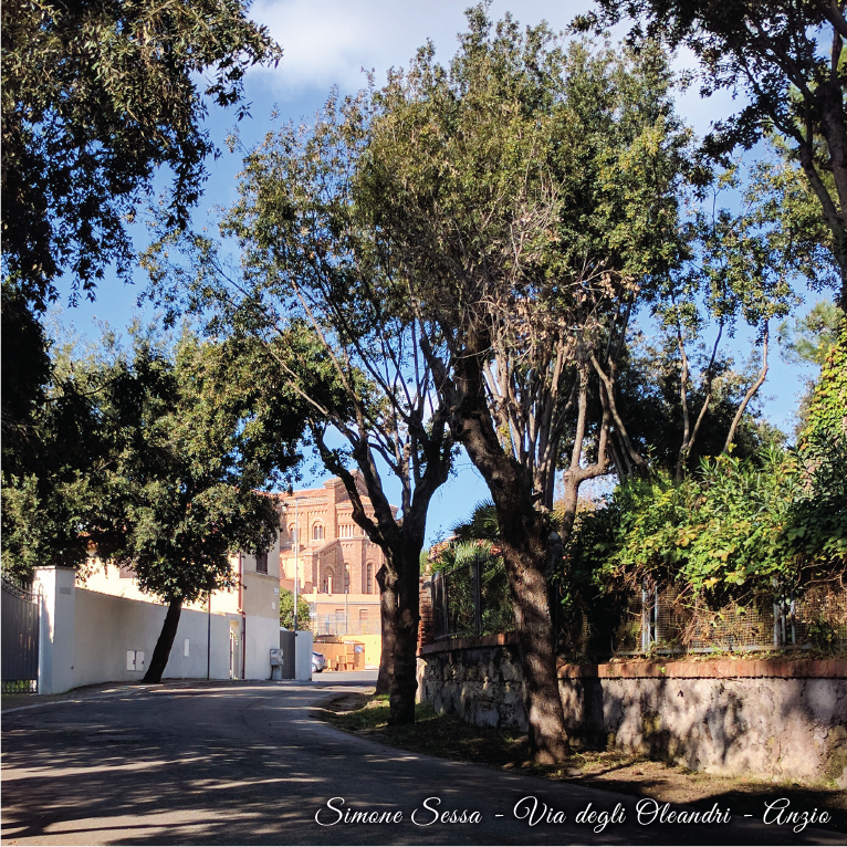 Anzio Via degli Oleandri